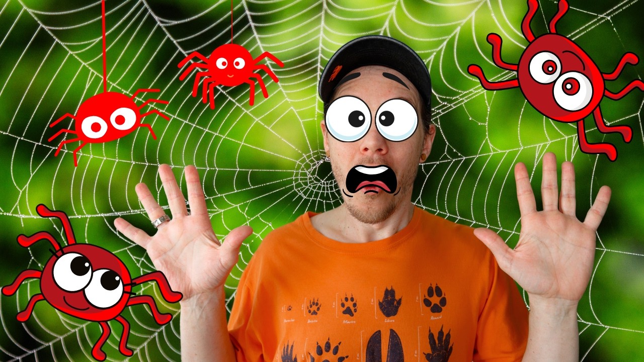 Alerte rouge : araignées rouges!