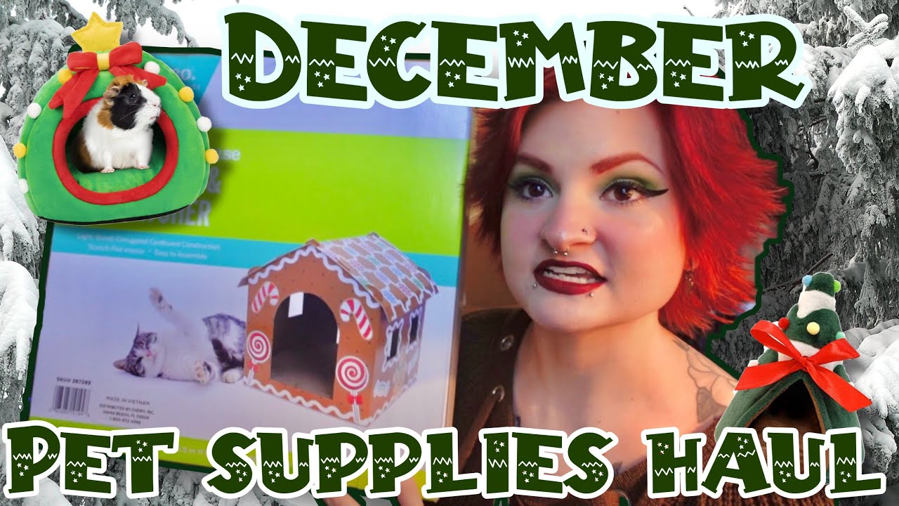 DECEMBER PET SUPPLIES HAUL🎁