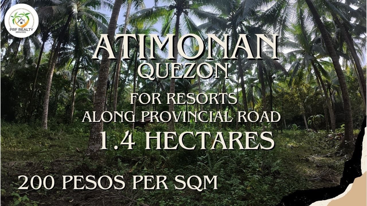 A63 - Property of Atimonan | 1.4 Hectares | Along Provincial Road | Good for Resorts |