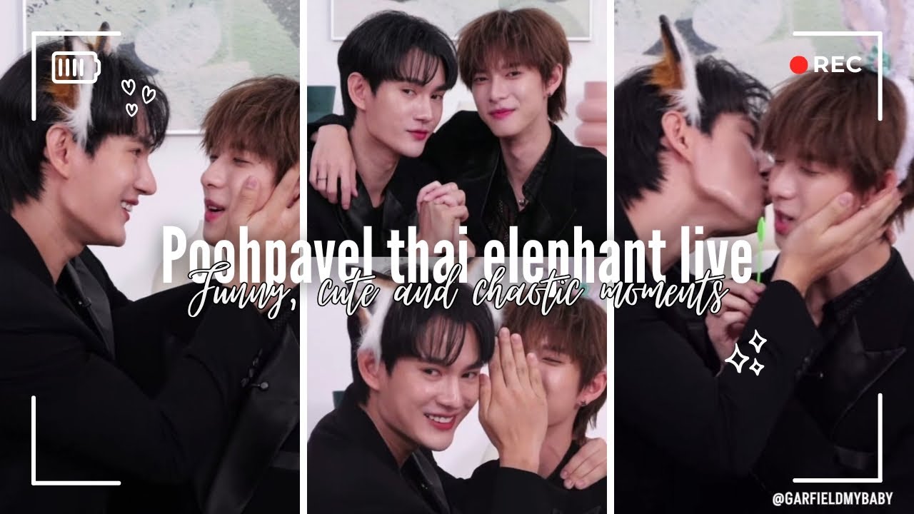 Poohpavel chaotic moments in thai elephant live