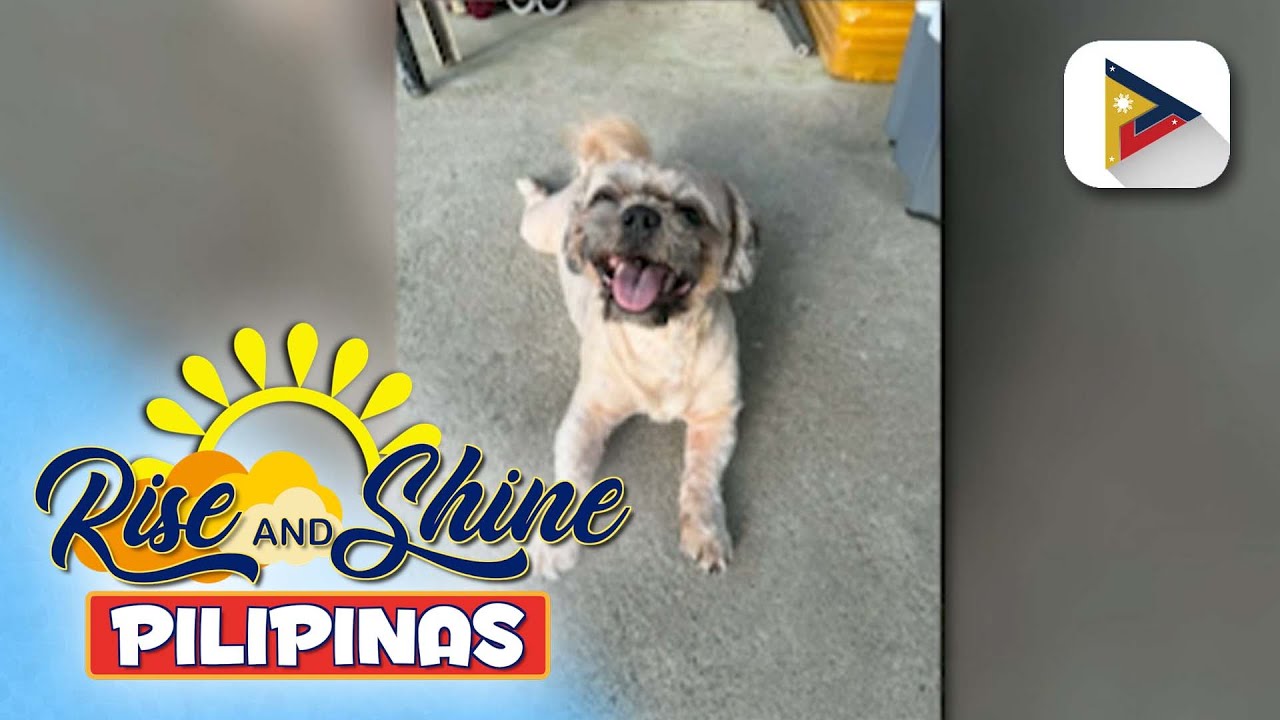 Wednesday Pet's Day | Burnok the viral lakwatsero