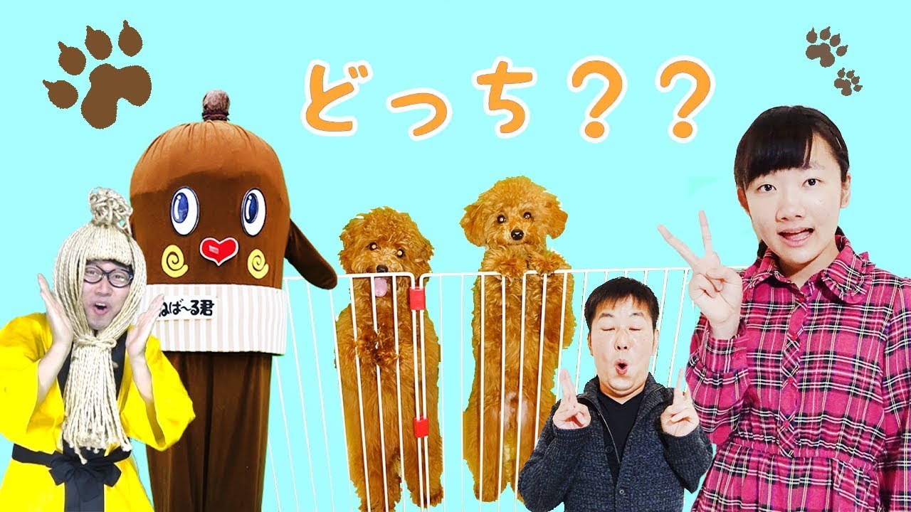 ★あれ、こちょがふたり！？　～ふたりの見分けつくの！？～★