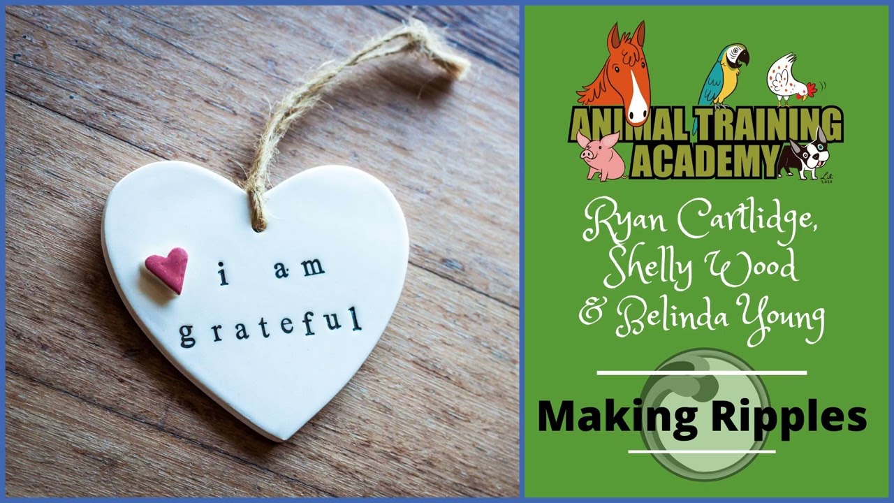 Practicing Gratitude Inside and Outside ATA with Ryan Cartlidge, Shelly Wood & Belinda Young...