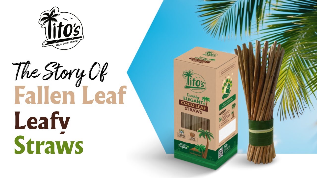 Coconut Leaf Straws - An Eco-Revolution