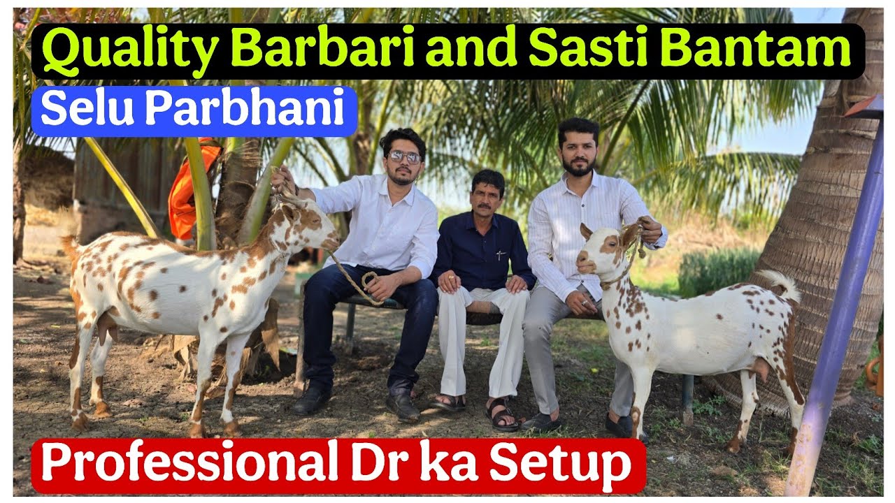 Ek Profesional Doctor ka Barbari or Bantam Farm | Selu Maharashtra me Bhi shauk