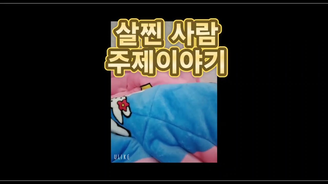 뚱돼진라해도 적어도 인신 공격하지맙시다.