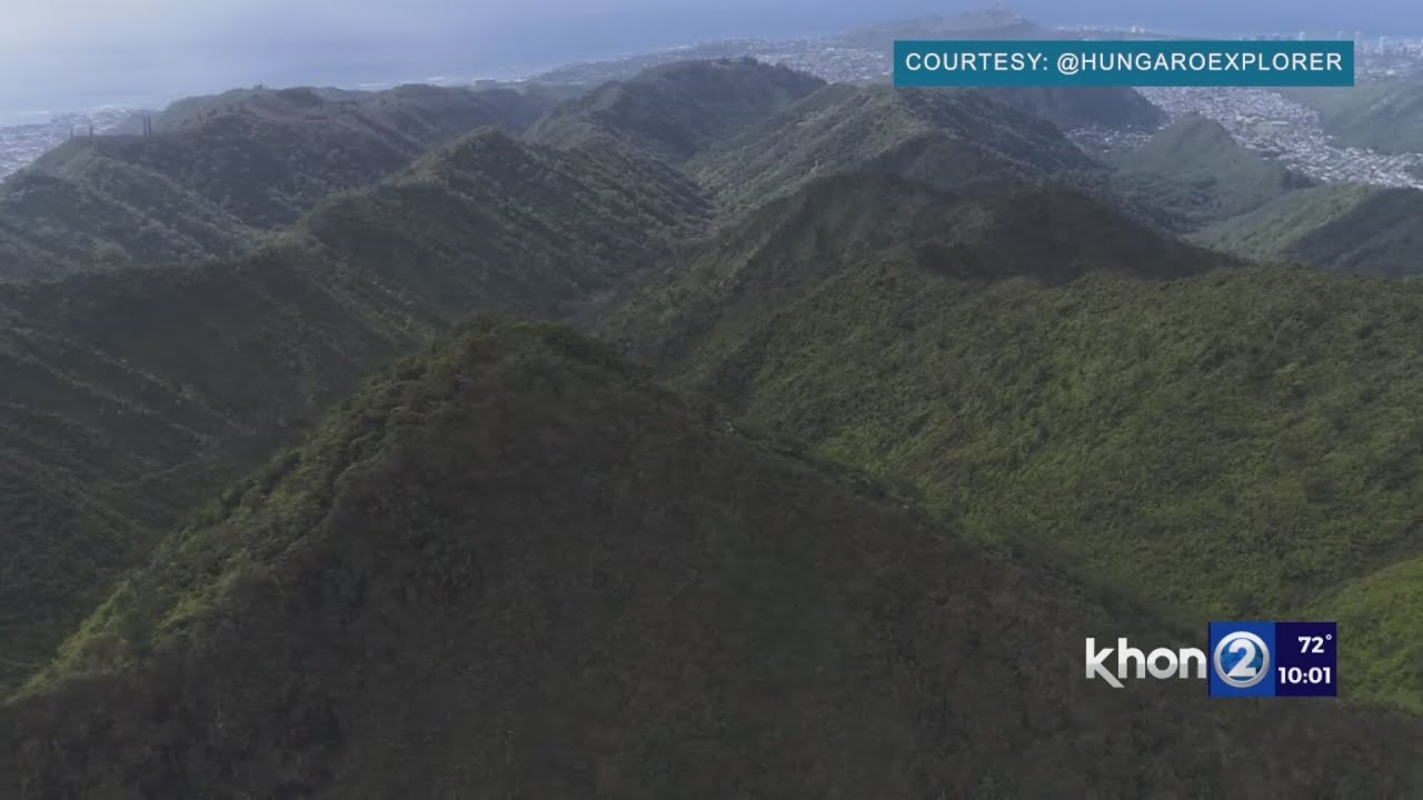 Barking dog rescues owner who fell more than 100 feet off hiking trail