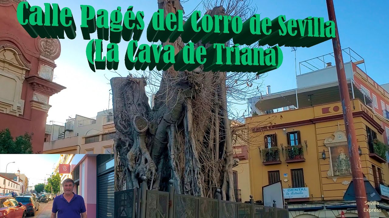 Calle Pagés del Corro de Sevilla | Triana |  La cava de Triana y de los civiles  #history