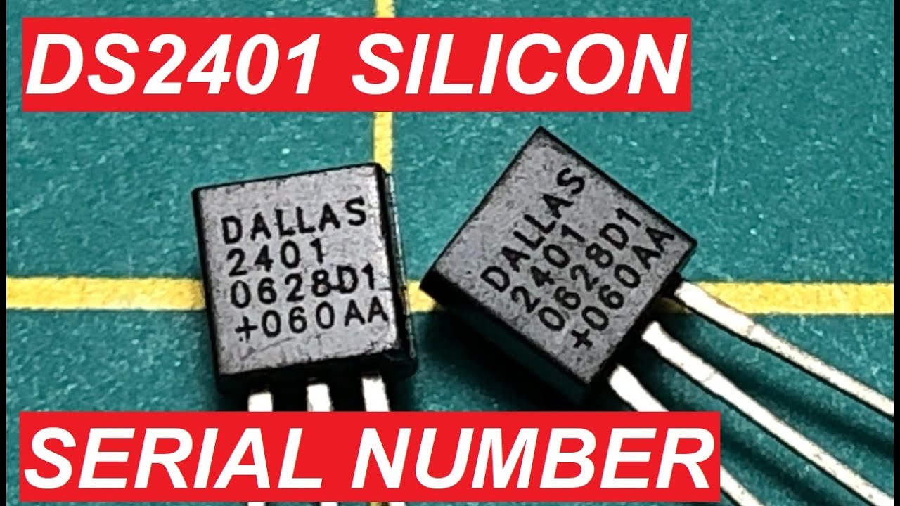 DS2401 Silicon Serial Number