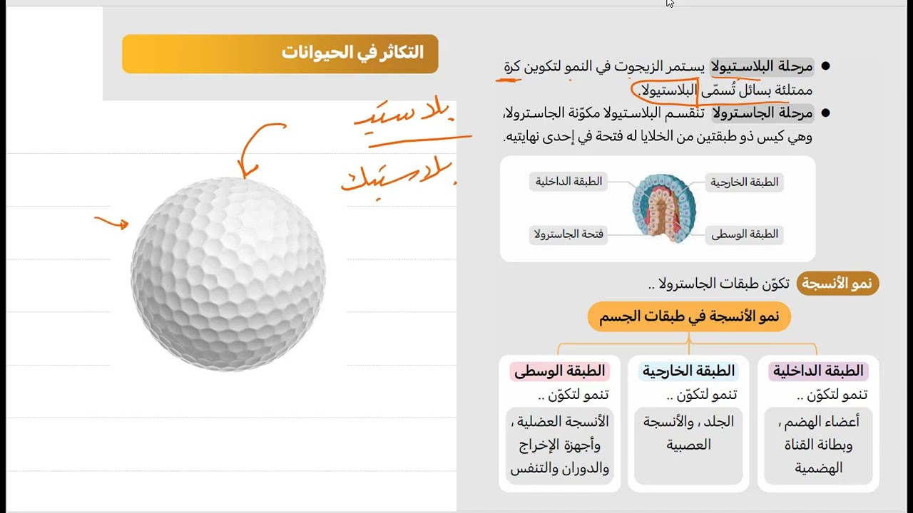 13- شرح كتاب ناصر عبدالكريم 2025 أحياء - الدرس الرابع - المملكة الحيوانية اللافقاريات ج1