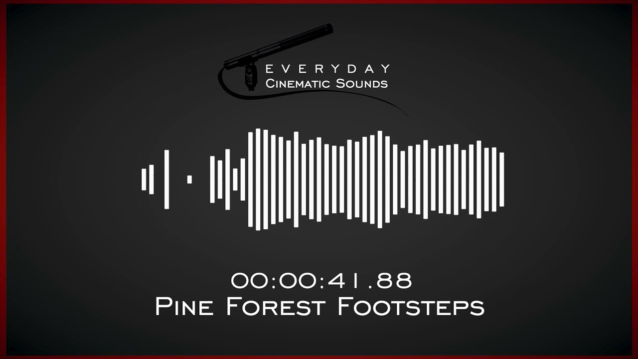 Footsteps Walking in Pine Forest | HQ Sound Effects