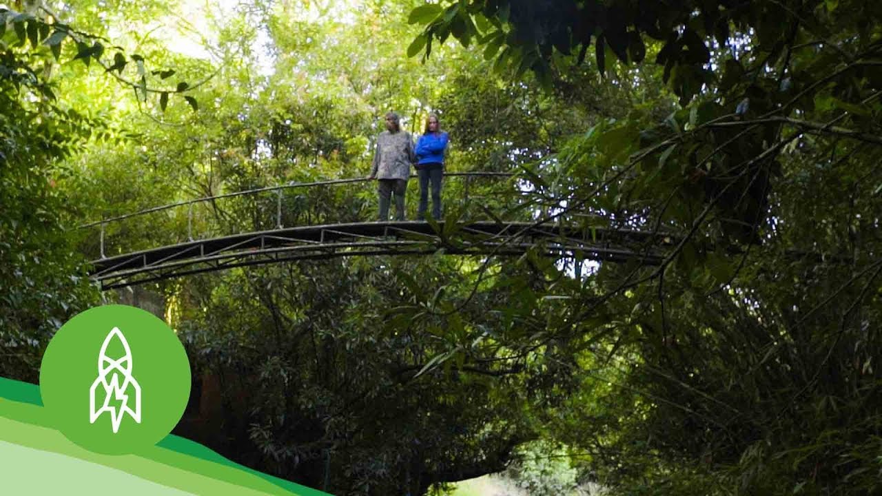 This Couple Nursed a Rainforest Back to Life