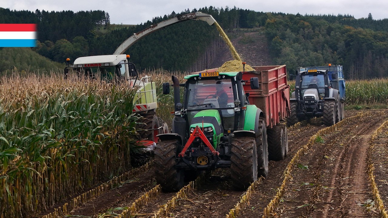 Mais häckseln | Claas Jaguar 870 // 2x Deutz Fahr // Lamborghini // Fendt | Luxemburg 2025