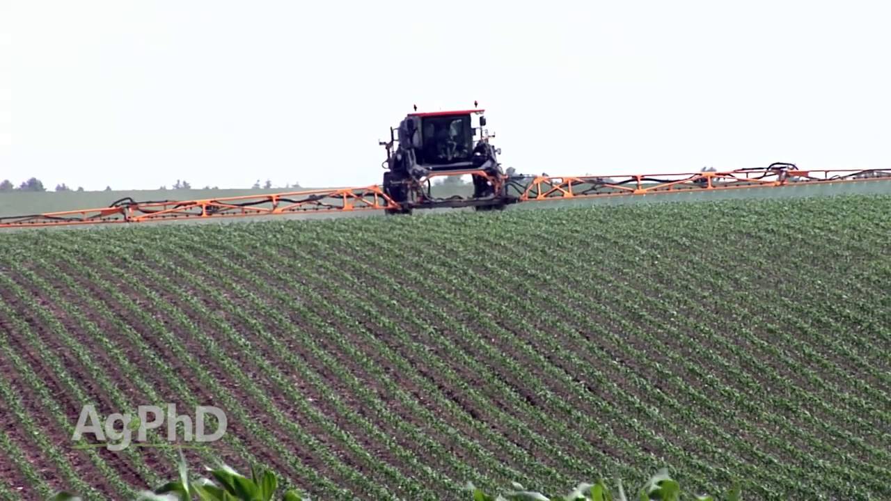Raising Conventional Corn #923 (Air Date 12/13/15)