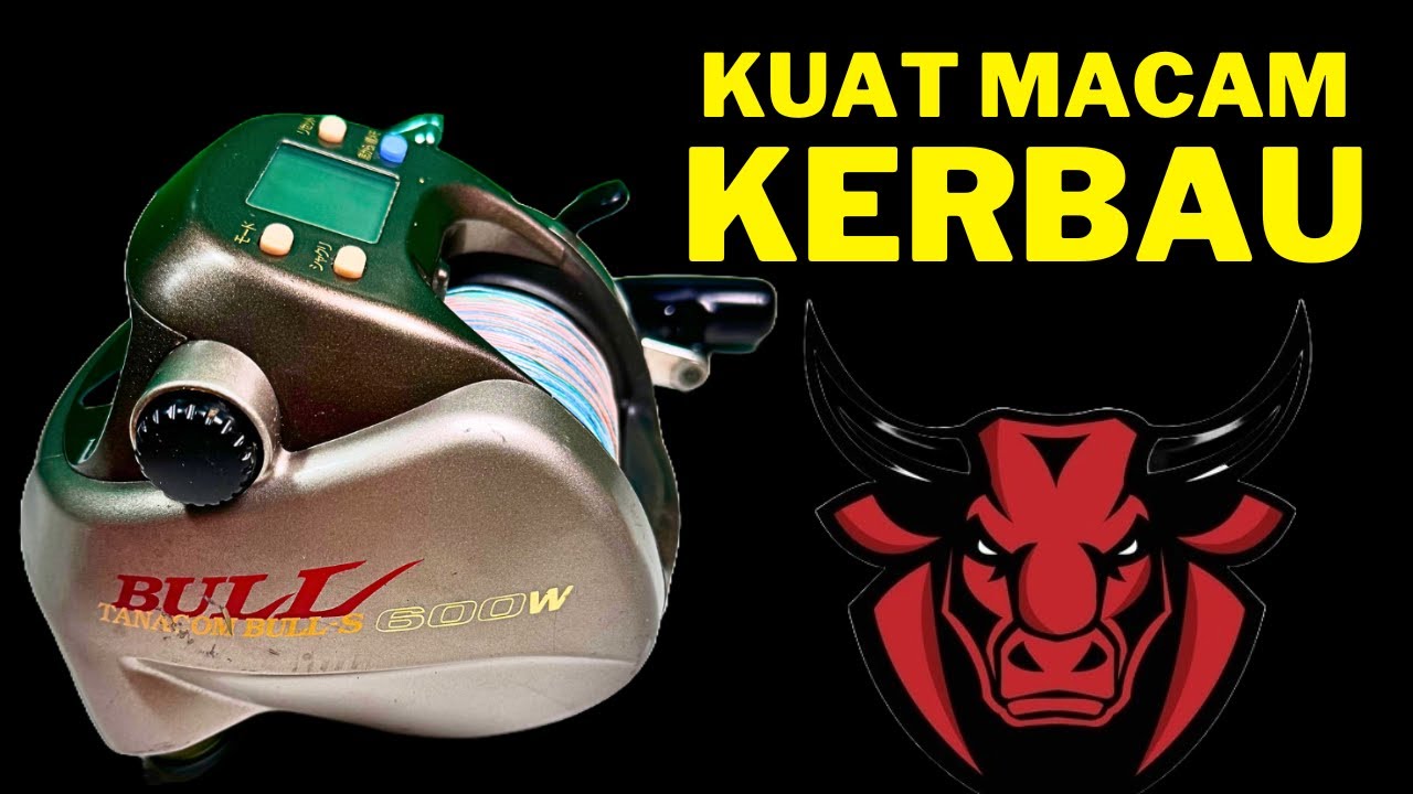 Apa Ada Pada BULL : Daiwa Tanacom Leobritz Seaborg Bull Electric Reel. 500MM S600W 750 1000  FE