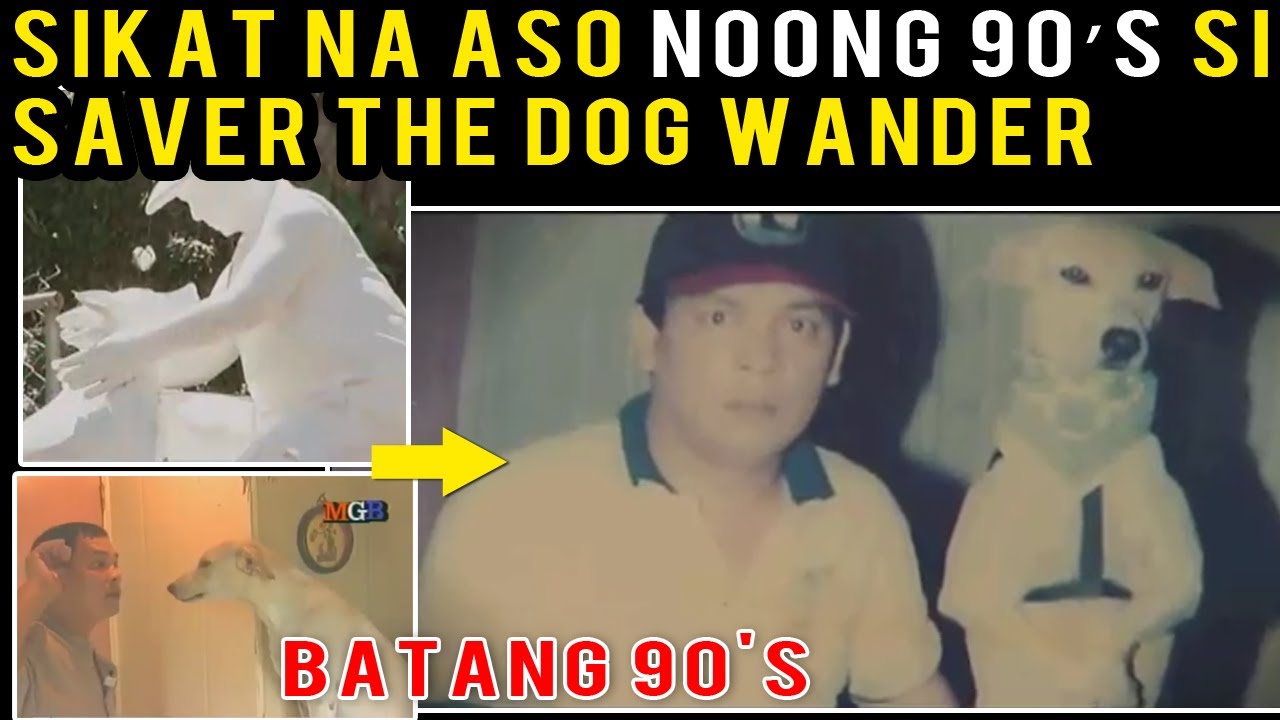 Sikat na aso noong 90's kilalanin si saver the dog wander ng pinas.