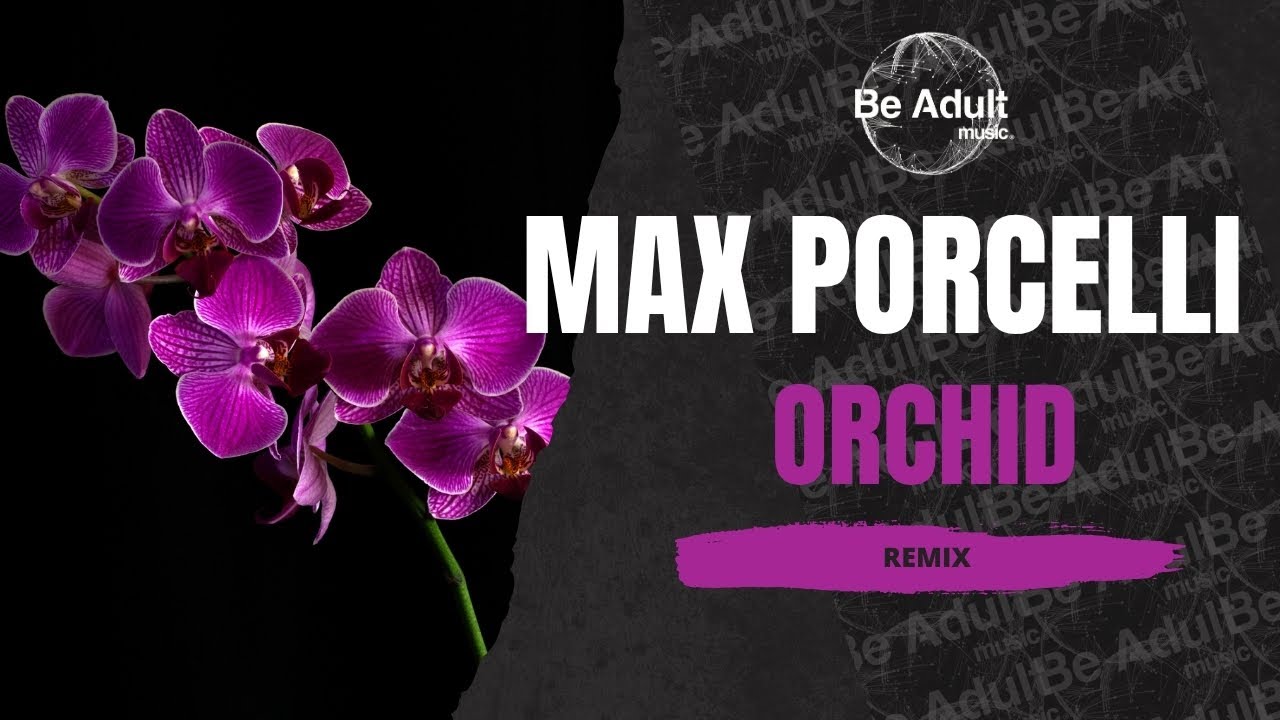 Max Porcelli - Orchid (Remix) 🎵