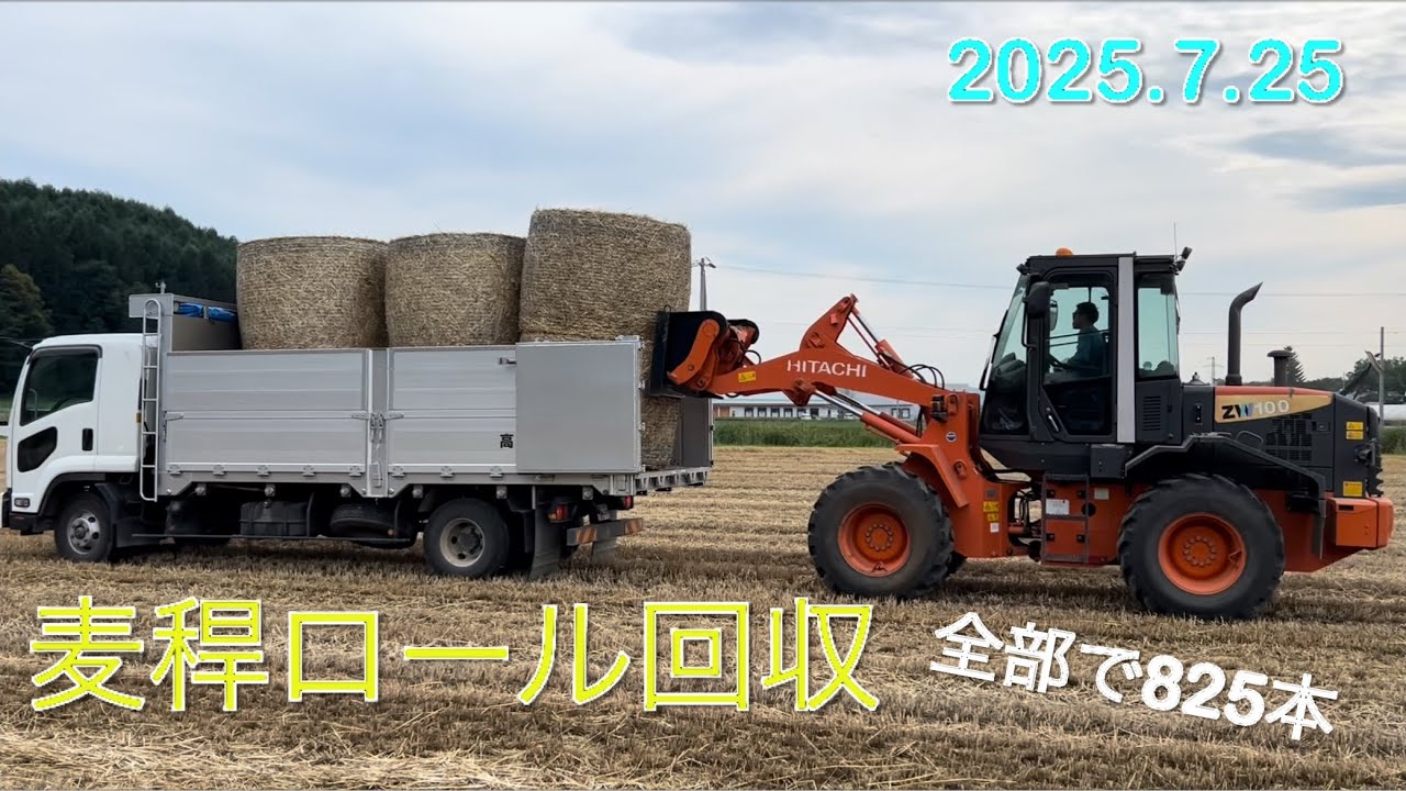 【2025.7.25】麦稈作業全て終了　全部で825本　　　北海道美幌町