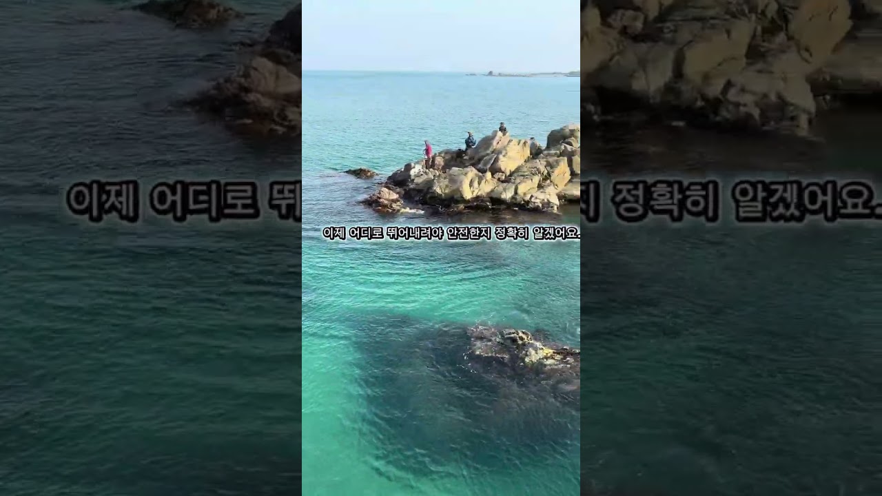 Отдых в Корее 한국에서의 휴가 15.02.2026 #korea #корея #отдых #природа #nature 