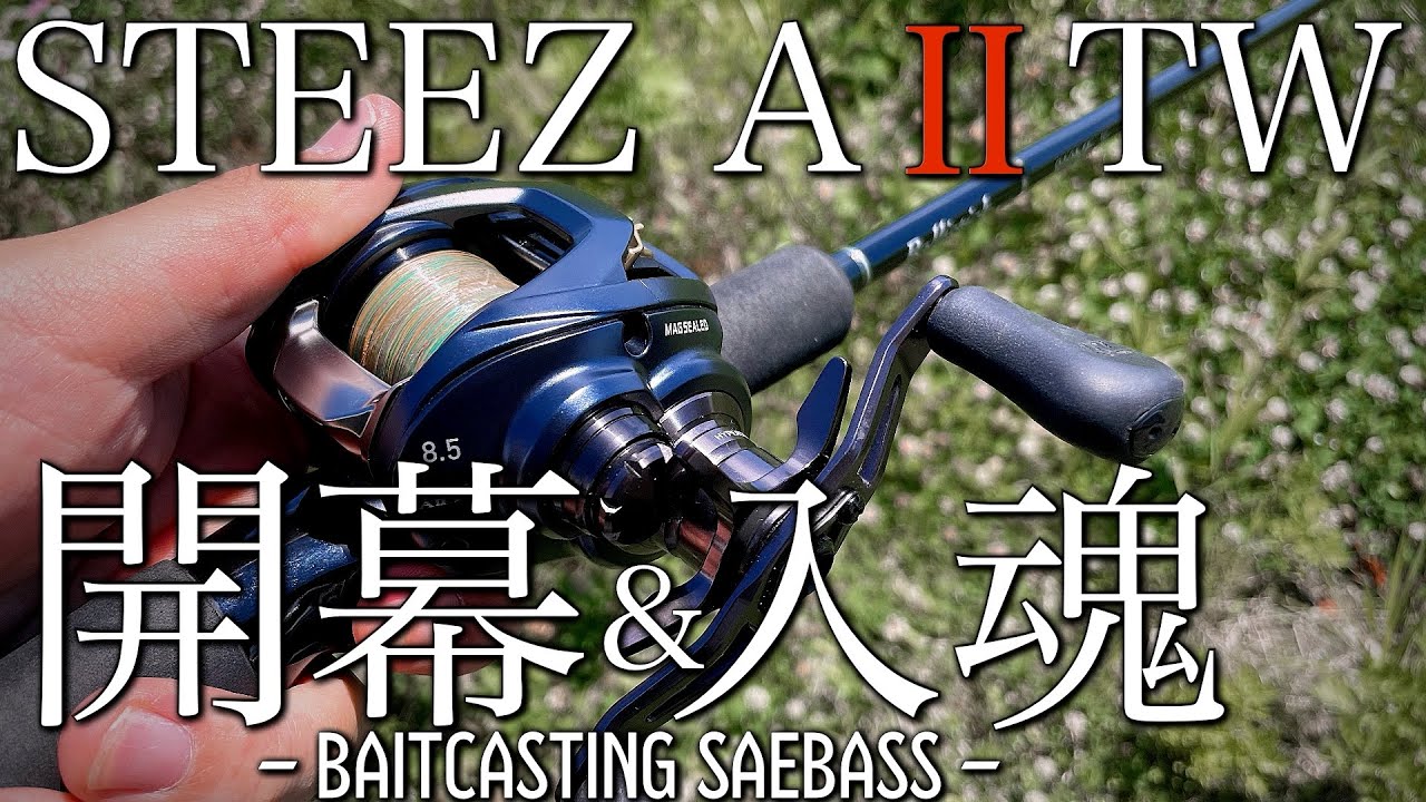 【ベイトシーバス】スティーズAⅡシーバス入魂！！PE0.8号で繊細に口を使わせる！！ベイトシーバスでSVBOOST PEスプール 、スティーズAⅡどうなのか？？