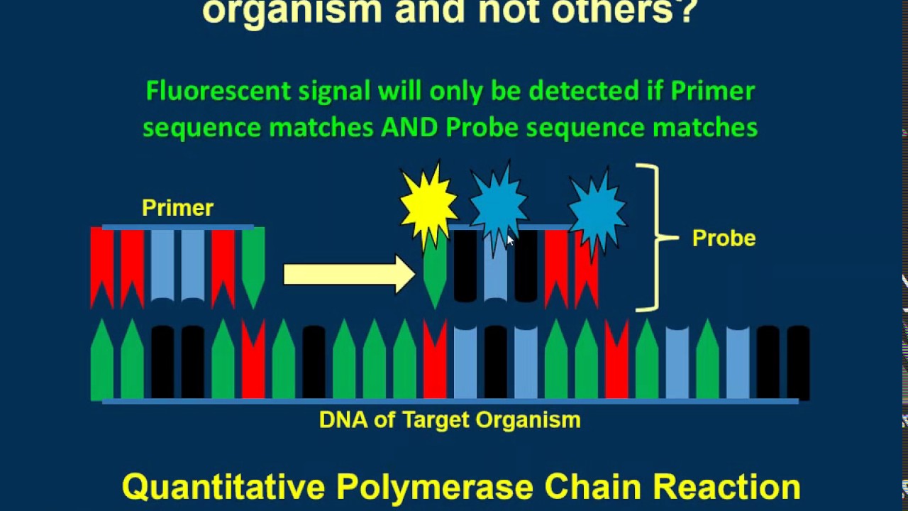 Introduction to Environmental DNA (eDNA)