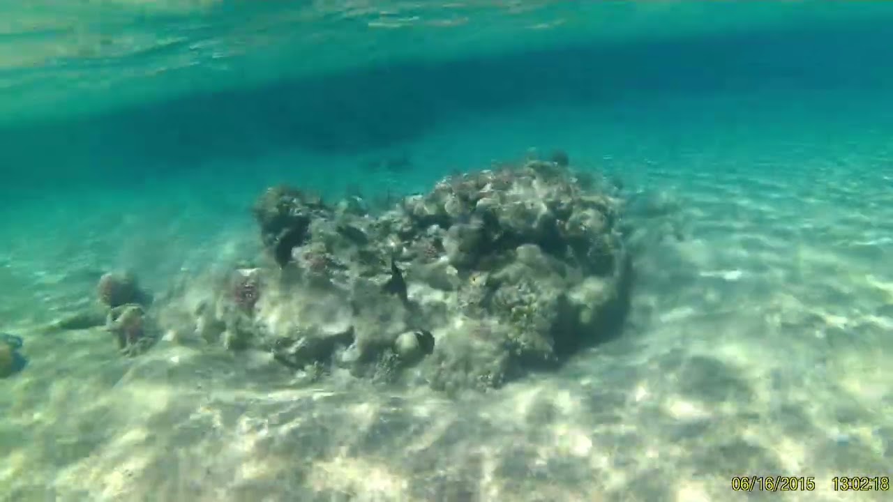 Marsa Alam Utopia Beach 2026