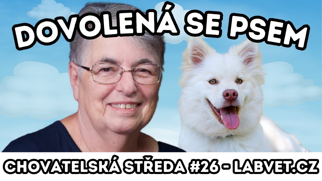 🐕 Dovolená se psem 🐕 | Chovatelská středa #26