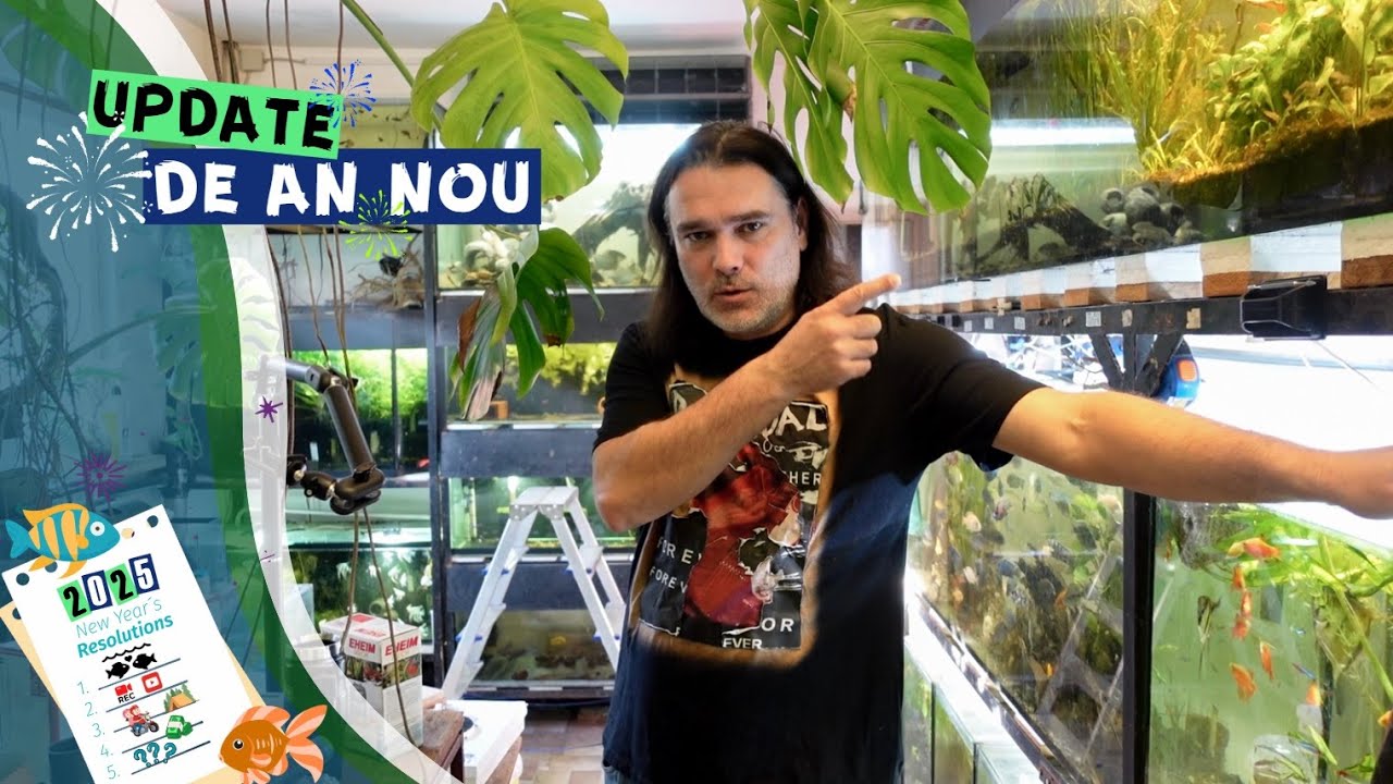 Vlog #29 | Un an nou, un update nou la acvarii