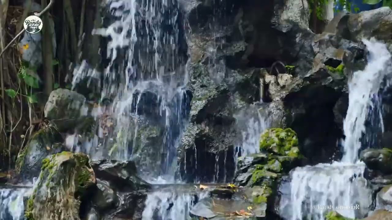 8K Nature Water sounds singing birds at mountain of Nature 5hrs relaxing outdoor
