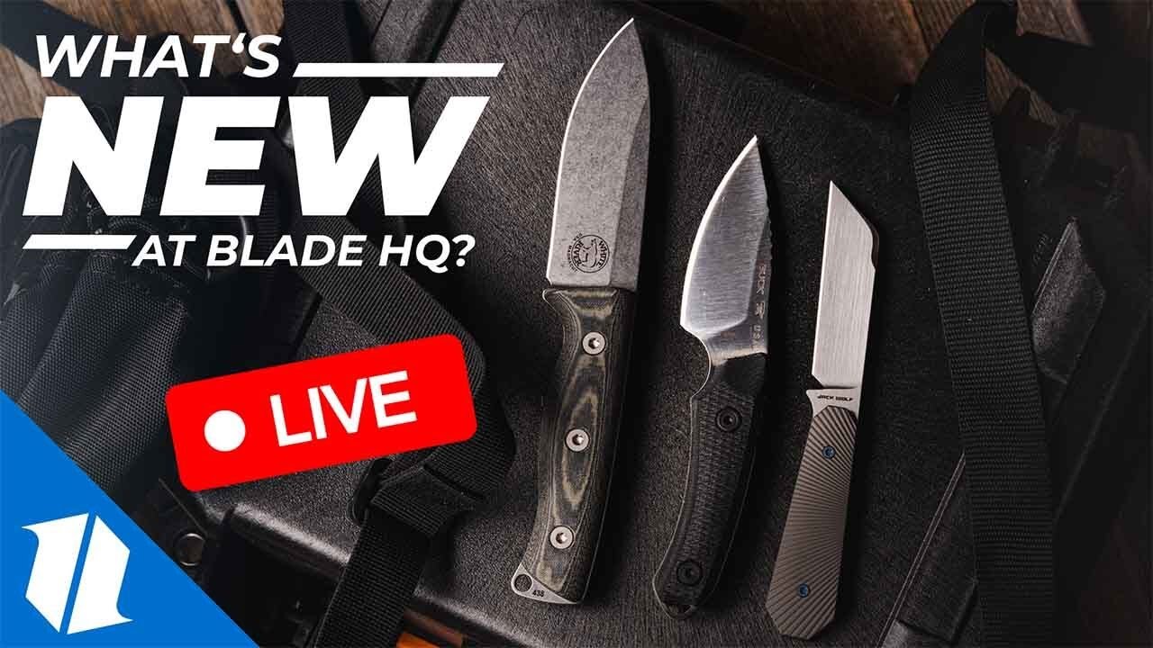 Fixed Blades Mania! | New Knives LIVE 6.10.24