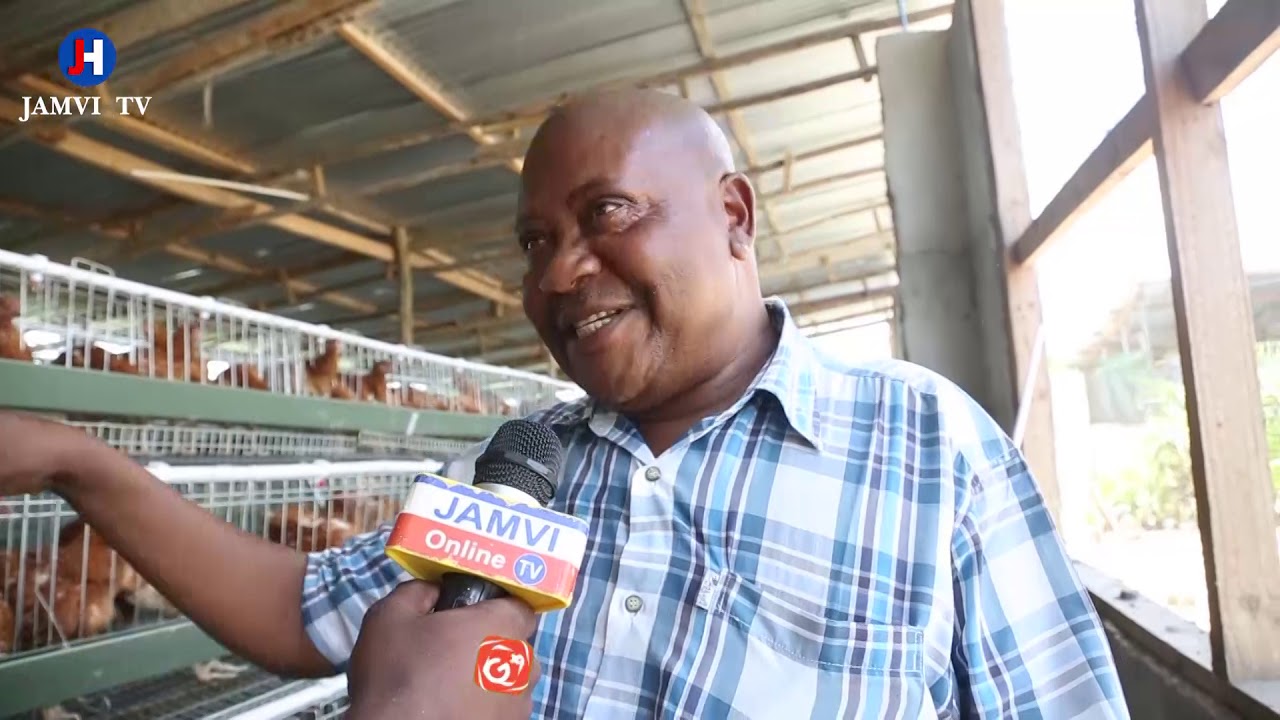 KILIMO:-MBINU NA FAIDA ZA UFUGAJI WA KUKU