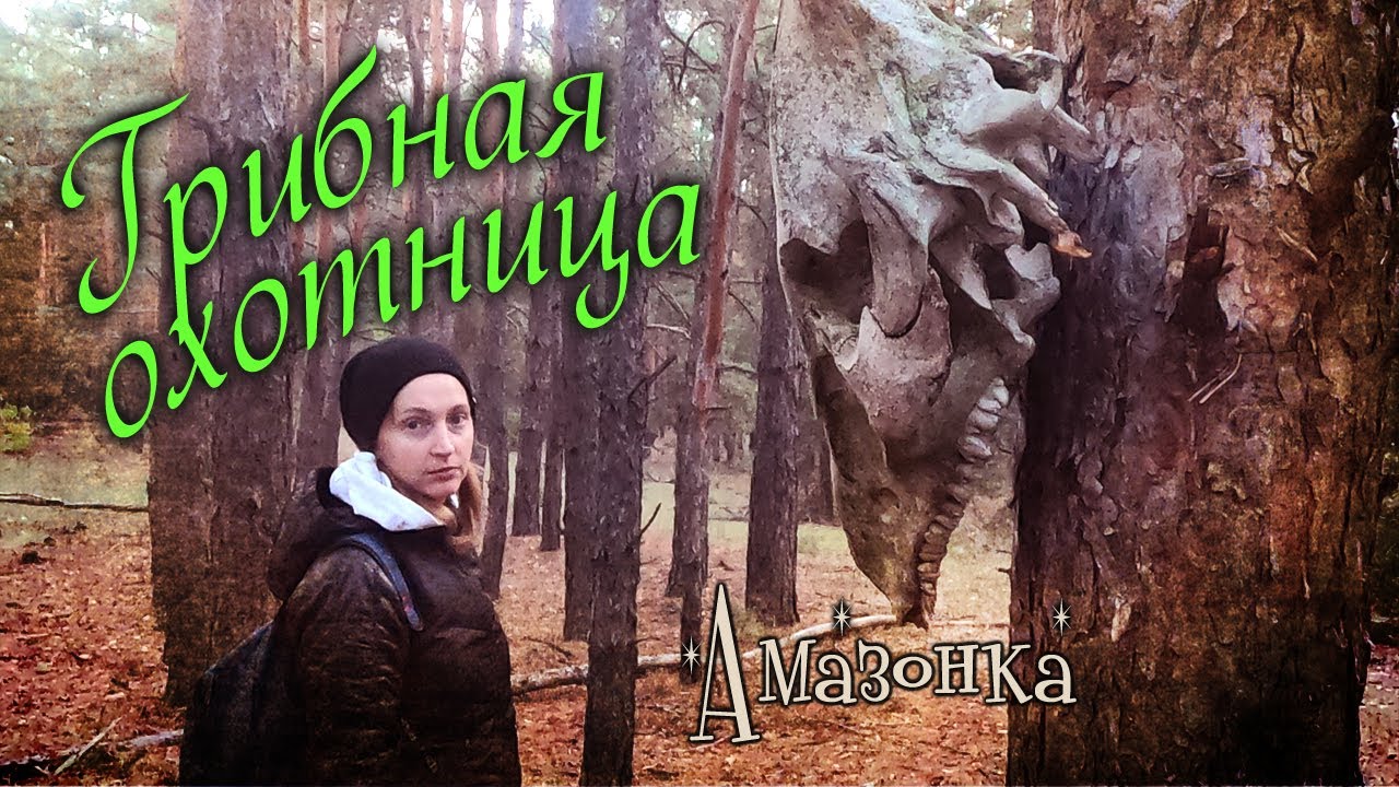 Хроники грибной охоты-3. Нашла череп в лесу / Chronicles of mushroom hunting-3. Found a skull