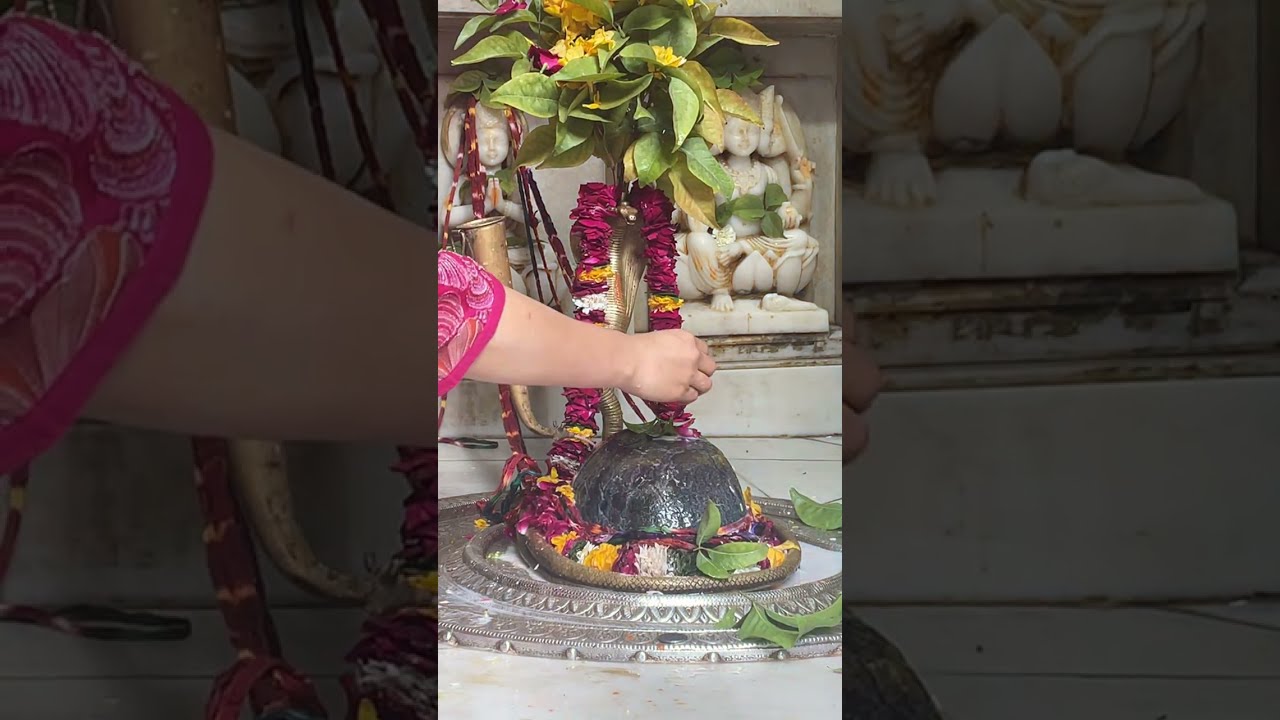 Darshan Budha bawa  is live