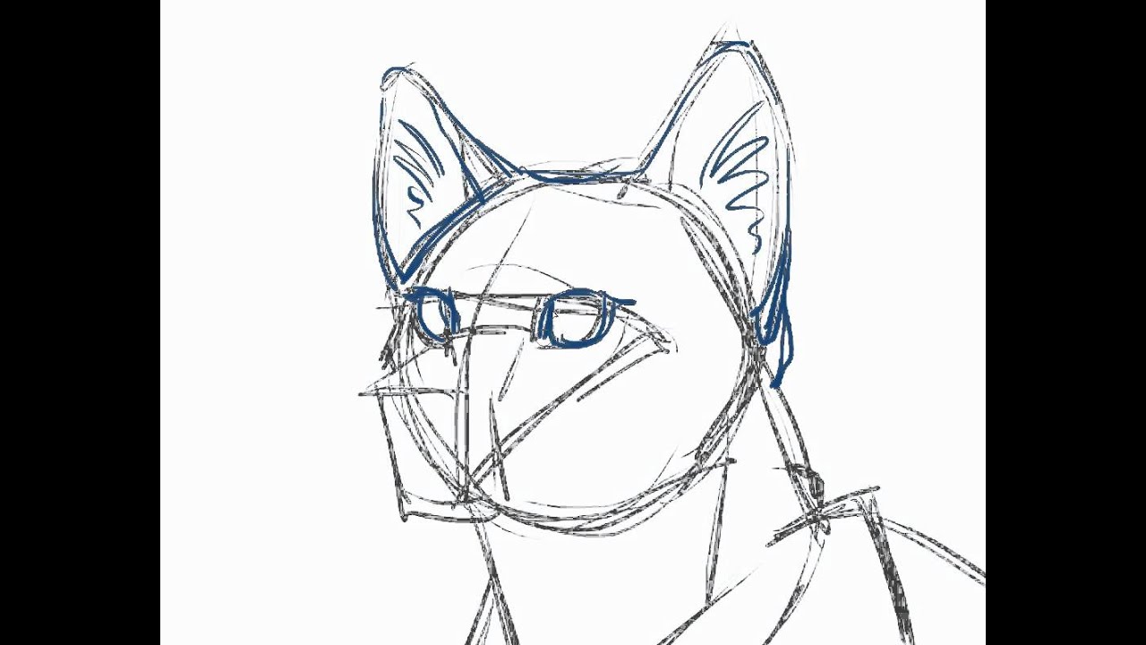 How To Draw A Cat Tutorial