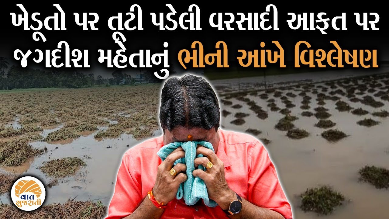 માવઠાના કારણે ખેડુતોને થયેલા નુક્શાનને જોઈ Jagdish Mehta રડી પડ્યા | Khedut | Farmers