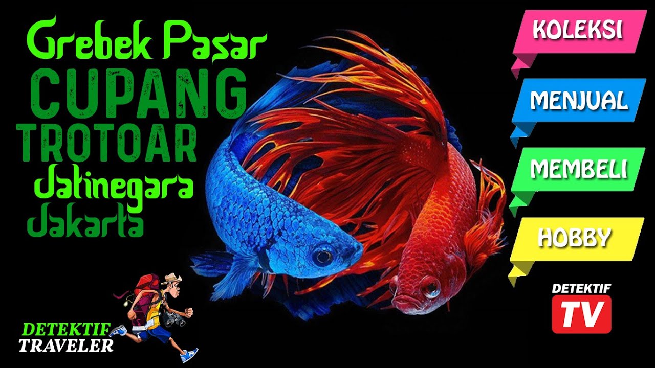 #dtvcupang GREBEK Pasar CUPANG TROTOAR Jatinegara Jakarta Hari MINGGU Pagi
