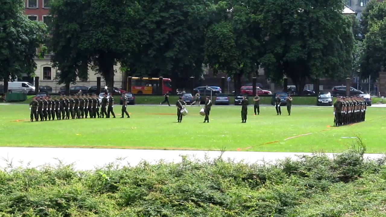 Parade militaire Danoise