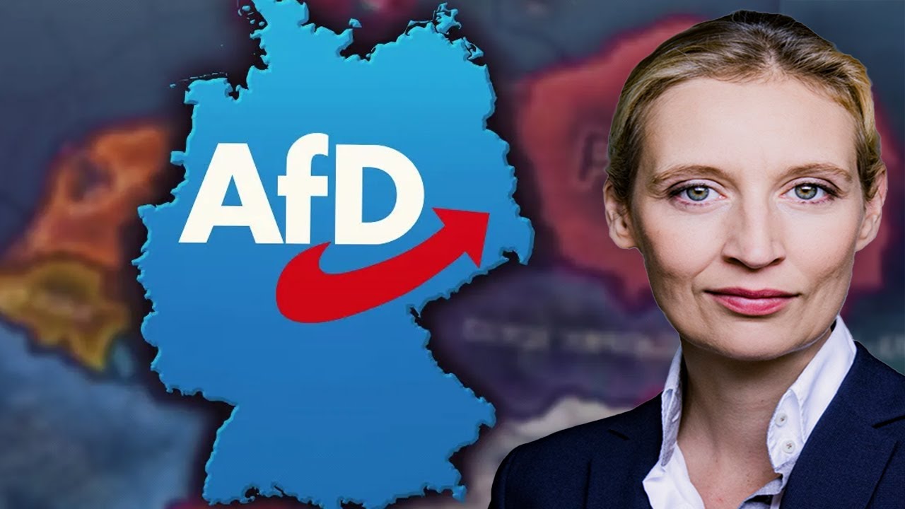 DAS passiert wenn die AFD ALLEINE in Deutschland regiert!