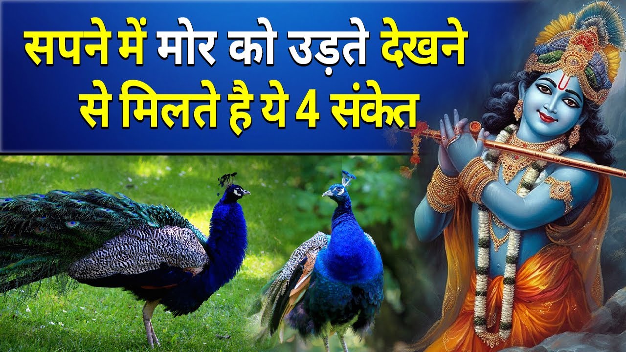सपने में मोर को उड़ते देखने से मिलते है ये 3 संकेत || sapne me mor ko udte hue dekhna
