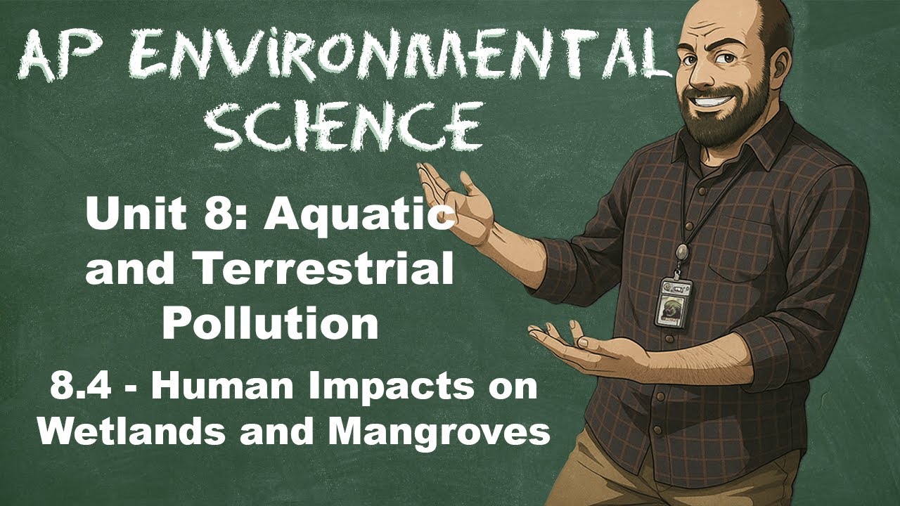 AP Environmental Science Unit 8 – Тема 8.4 Влияние человека на водно-болотные угодья и мангровые ...