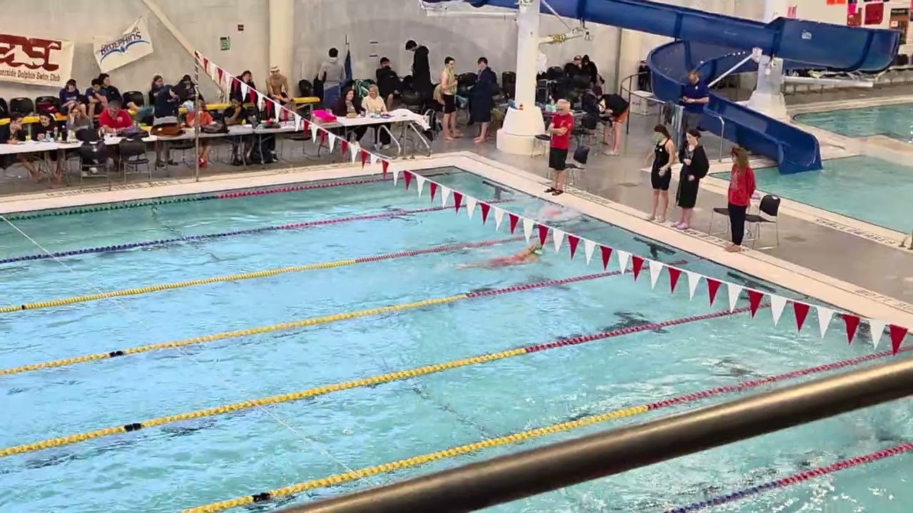 Maria 800 Free Candy Cane 2025