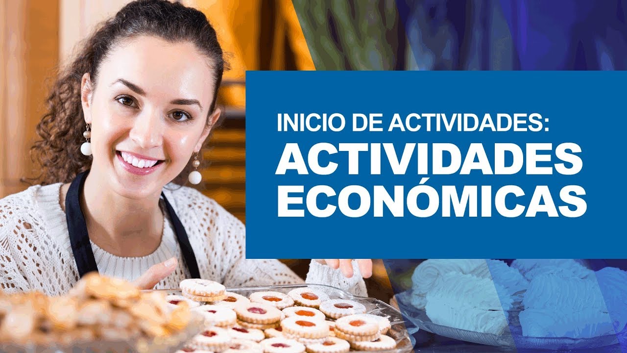 Inicio de actividades: Actividades econ&oacute;micas