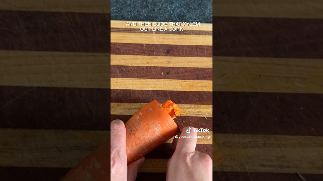 Easy science trick | Carrot dissembling hack | Xylem and phloem of a carrot