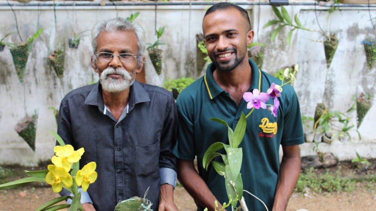 Fast growing Orchid plant ideas| Best Orchid porting method and its fertilizers malayalam