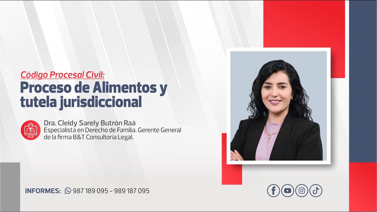 Proceso de Alimentos y Tutela Jurisdiccional | Cleidy Sarely Butrón Raá
