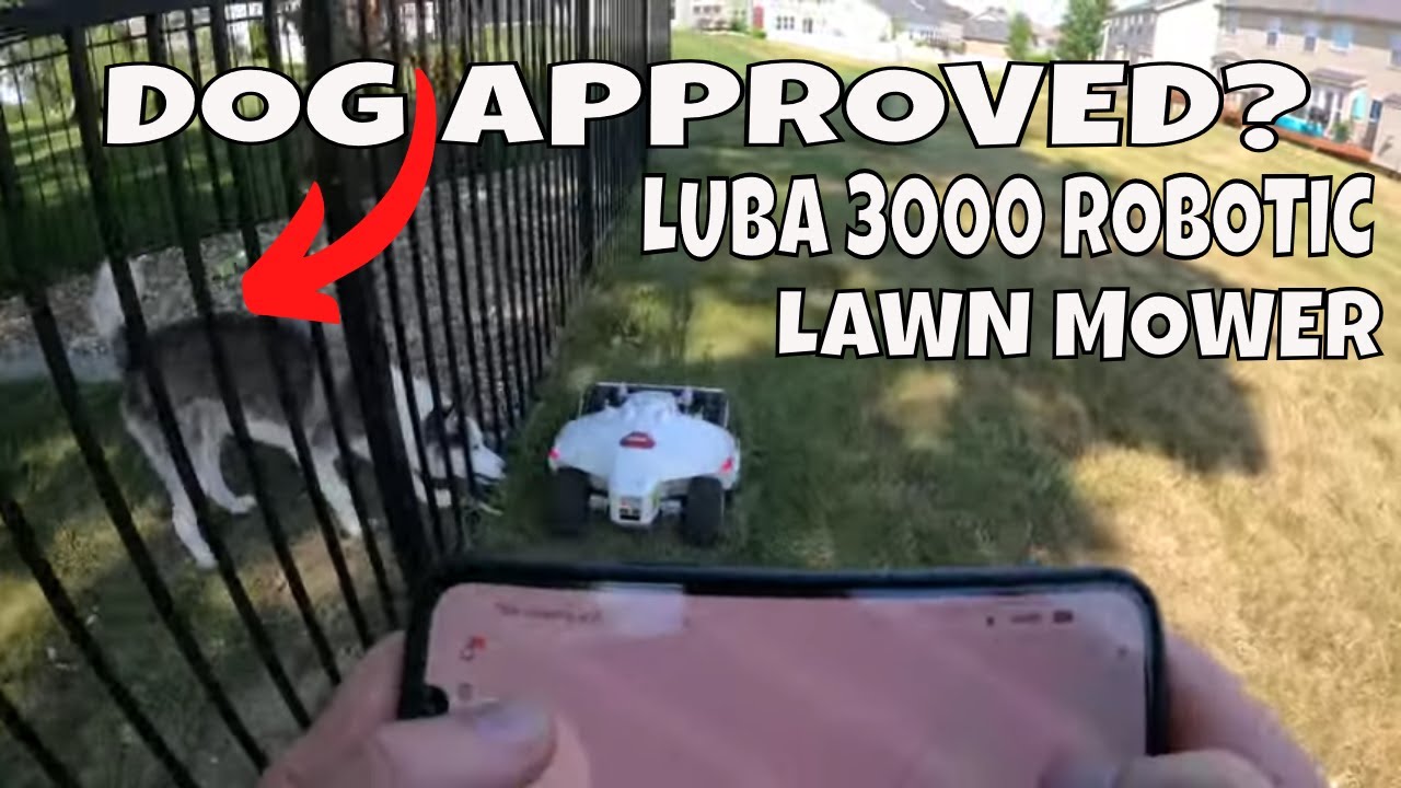 Luba 3000 RE-Mapping + Cutting My  Back Yard How to 1000 5000 Omni Robot Lawn Mower + Time Lapse