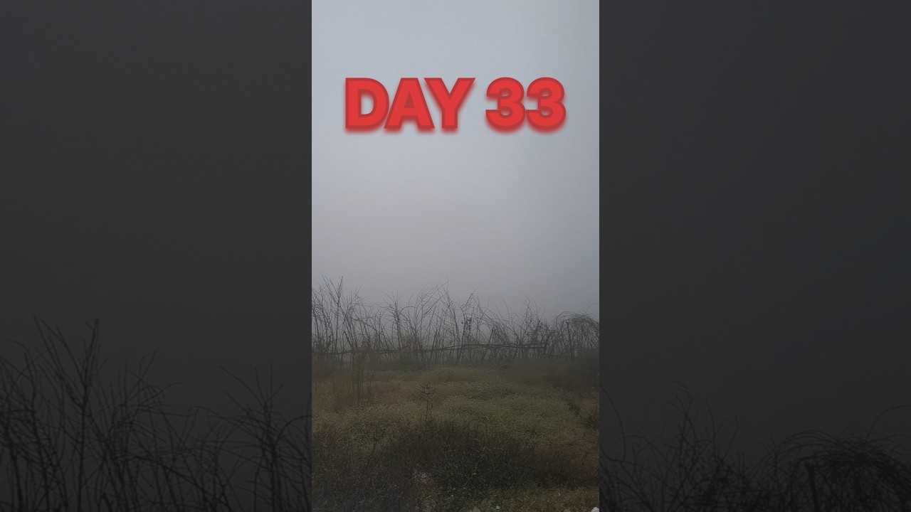 “75 Hard Day 33 | Body Thak Gayi, Mind Strong Hai 💯” 