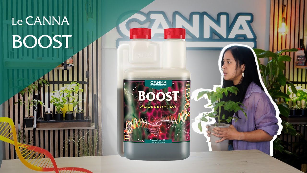CANNABOOST : transforme ta plante en une MACHINE de production !