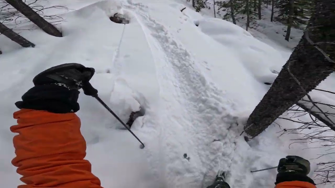 Wild Thing - Panorama Mountain Village