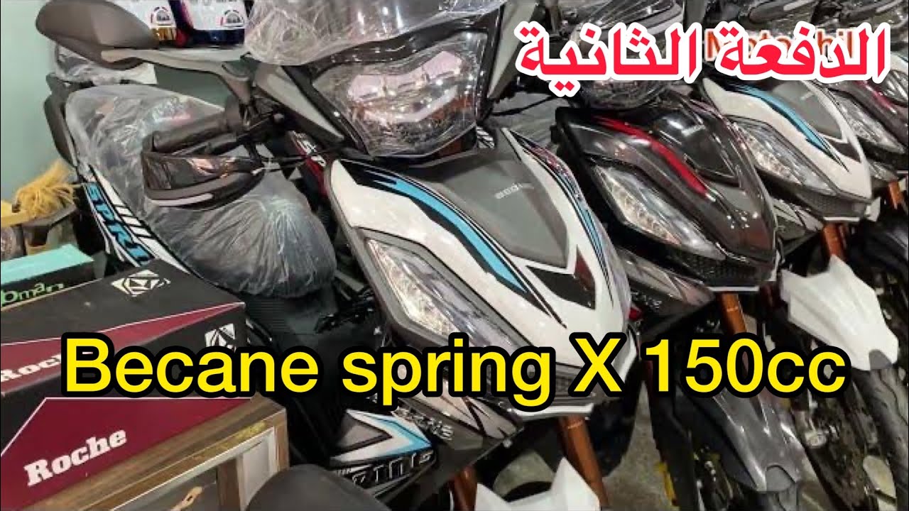 الدفعة الثانية من البيكان سبرينغ X لسنة 2023 مدينة سلا الدار الحمرا
